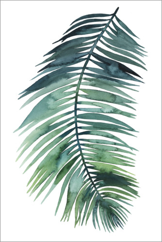 Poster Acquerello foglia di palma II