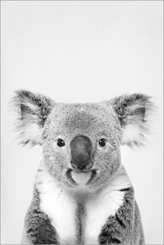 Poster Koala amichevole