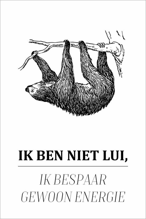 Poster Non sono pigro... (olandese)