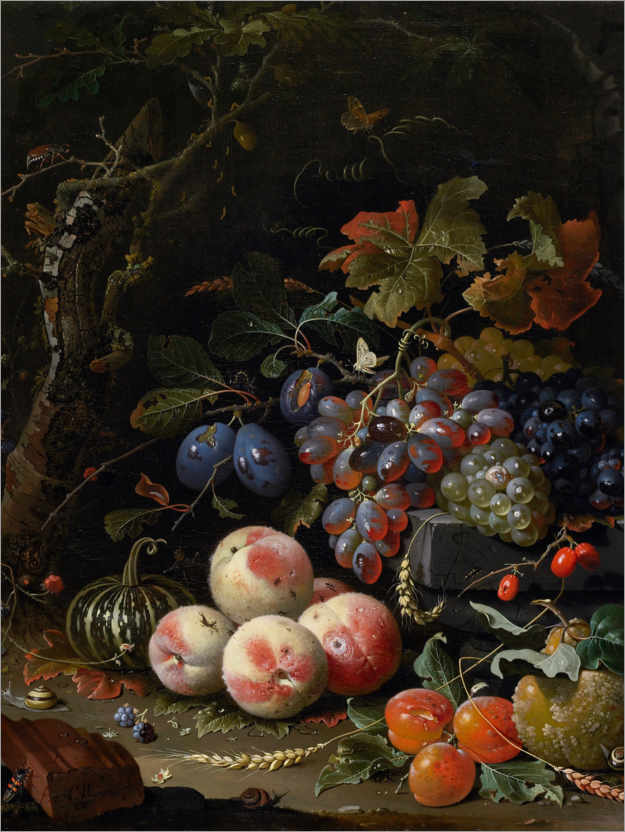 Poster Natura morta con frutti, foglie e insetti
