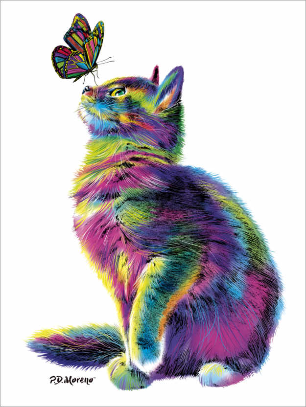 Poster Gatto e farfalla arcobaleno