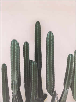 Poster Cactus messicano