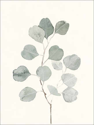 Poster Botanica delicata