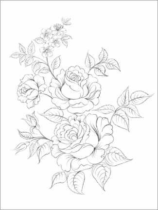 Poster da colorare  Rose selvatiche