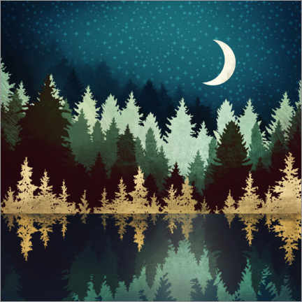 Poster Lago forest sotto il cielo stellato