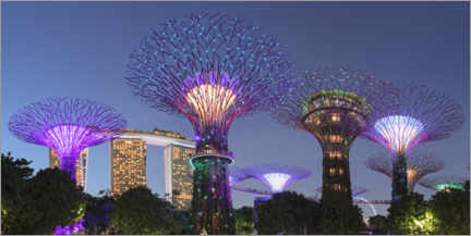 Poster  Supertree di notte, Singapore - Markus Lange