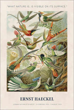 Stampa su tela  Ernst Haeckel - What nature is - Ernst Haeckel