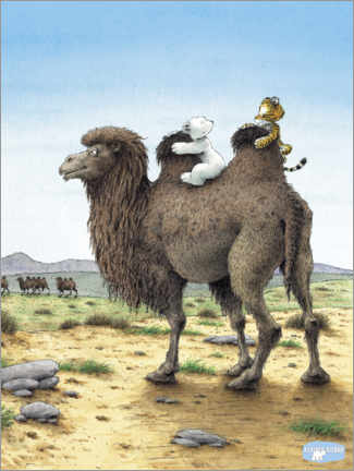 Stampa su plexi-alluminio  The little polar bear Lars on a camel