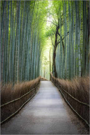 Poster Arashiyama Bambuswald, Kyoto, Giappone