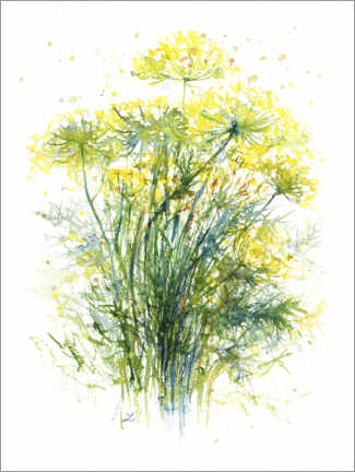 Poster  Dill Flowers - Zaira Dzhaubaeva
