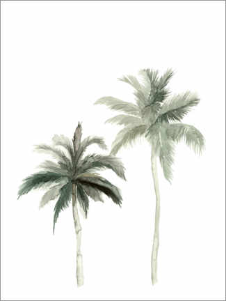 Poster Botanical Illustration Palmtrees