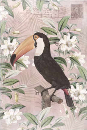 Poster  Exotic Toucan Paradise - Andrea Haase