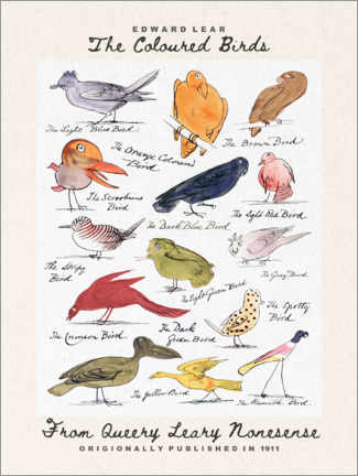 Stampa su alluminio  The Coloured Birds Compilation (From Queery Leary Nonesense) - Edward Lear