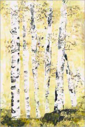 Poster Birch trees in the sunlight