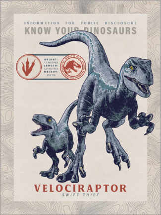 Adesivo murale  Jurassic World Velociraptor - Blue &amp; Baby