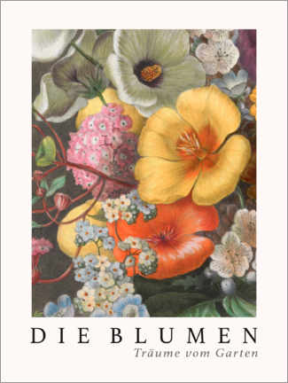 Poster  Album Vilmorin, The Flowers VIII (German) - Elisa Champin