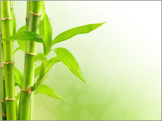 Stampa su plexi-alluminio  Bambù verde