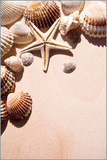 Adesivo murale  Stella marina e conchiglie