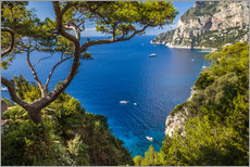 Stampa su plexi-alluminio  Bellissima vista sul mare a Capri (Italia) - Christian Müringer