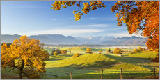 Stampa su vetro acrilico  Autumn in Bavarian with Zugspitze in Background - Murnauer Moos - Dieter Meyrl