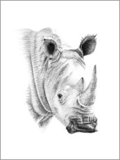 Poster Rhino sketch