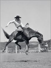 Poster  Spettacolo equestre occidentale