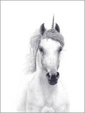 Poster Unicorno bianco