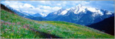 Poster Vista sulle Alpi della Zillertal