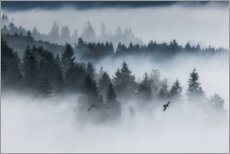 Stampa su alluminio  Foresta nella nebbia - Mikolaj Gospodarek