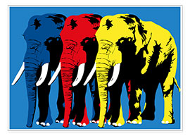 Poster  Elephant Walk - JASMIN!