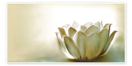 Poster  Fiore di loto bianco - Christine Ganz