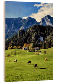Stampa su legno  Alpi e mucche da pascolo - Ric Ergenbright