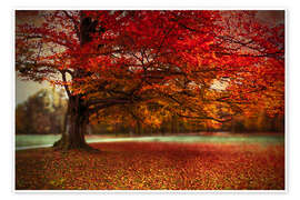 Poster L'autunno più bello