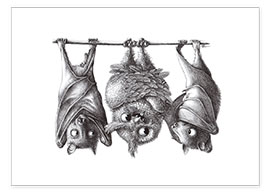 Poster  Vampiri - Gufo e due pipistrelli - Stefan Kahlhammer