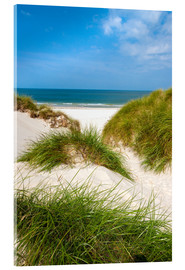 Stampa su vetro acrilico  Paesaggio marino con dune ed erba - Reiner Würz