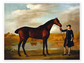 Poster Horse of the Duke of Marlborough