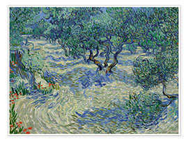 Poster  Uliveto - Vincent van Gogh