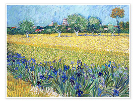 Poster Veduta di Arles con iris