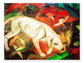 Poster Tre animali (cane, volpe e gatto)