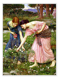 Poster  Raccolta delle rose a maggio - John William Waterhouse