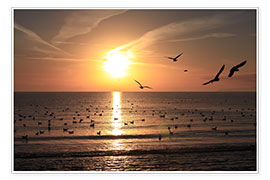Poster Sunrise at the Baltic Sea coast II