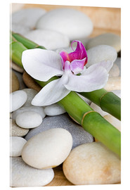 Stampa su vetro acrilico  Bambù ed orchidea II - Andrea Haase Foto