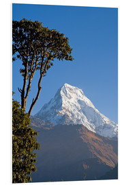 Stampa su PVC  Annapurna - Nepal - Walter Quirtmair