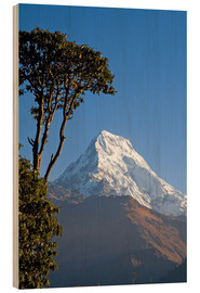 Stampa su legno  Annapurna - Nepal - Walter Quirtmair