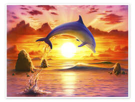Poster  Day of the dolphin - sunset - Robin Koni
