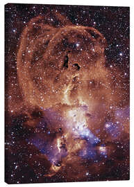 Stampa su tela  Nebulosa NGC 3576 - NASA