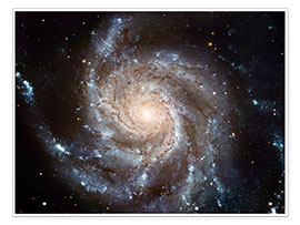 Poster  Galassia Girandola M101 - NASA