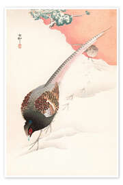 Poster  A Pair of Pheasants in the Snow - Ohara Koson