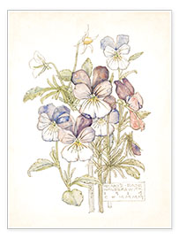 Poster  Viola del pensiero - Charles Rennie Mackintosh