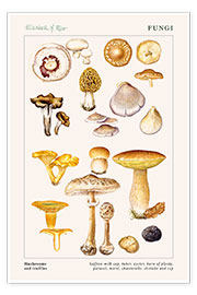 Poster  Funghi e tartufi - Elizabeth Rice